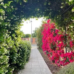 Bougainville San Vincenzo